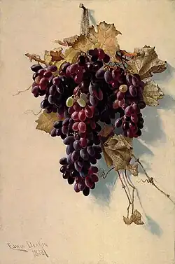 Still Life with Grapes, 1888, Smithsonian American Art Museum