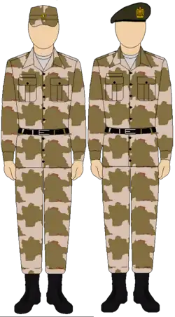 Egyptian Army Thunderbolt camouflage uniform