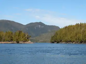 Entrance to Newcombe Harbour, off Petrel Channel, part of Pitt Island