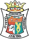 Official seal of Guachetá