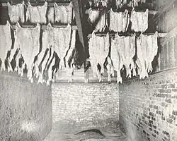a black and white picture of butterflied haddocks hanging and curing from racks in a smokehouse, made of bricks and wood