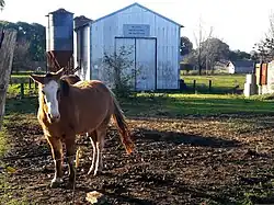 Horse by the agrifood production plant