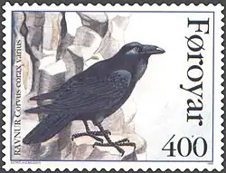 FR 275: North Atlantic raven (Corvus corax varius)