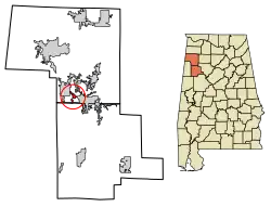 Location in Marion and Fayette counties, Alabama