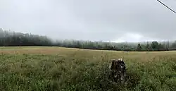 Hay field near Harborside, Maine, in the fog