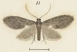 Illustration of male.