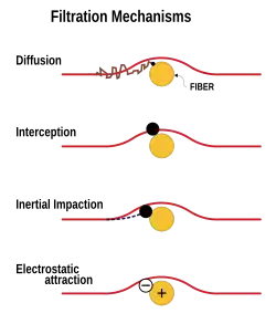 Four diagram each showing the path of small particle as it approaches a large fiber according to each of the four mechanisms