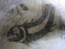 Detail of the mosaic floor in the cold room of the bath house.