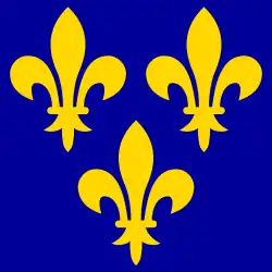 Flag of the Kingdom of France , — 3 golden fleurs-de-lys on a royal blue field ,