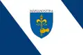 Flag of Márianosztra