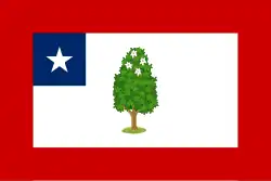 Flag of Mississippi, (1861–1865)