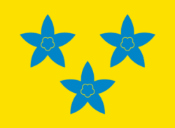 Flag of Nord-Aurdal Municipality