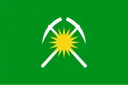 Flag of Raychikhinsk