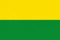 Flag of Valdivia, Antioquia