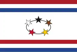 Standard of the governor, 1966–1975