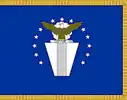 Flag of the Air Force Senior Executive Service