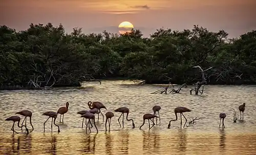 Photograph manipulated in Photoshop to give the impression it is a painting with brush strokes