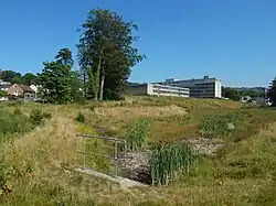 A floodwater storage pond, in its usual empty state. It is intended to soak up flood water and release it slowly.