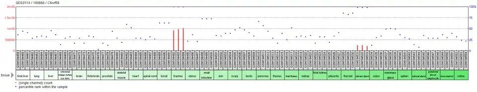 Tissue expression profile of C6orf58