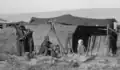 Galilee Bedouin woman and girls in front of tent, churning butter.
