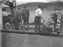 Getting the dogs on board after their stay in quarantine in Hobart
