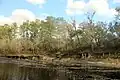 Suwannee River