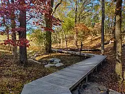 A boardwalk passes through a forested area.