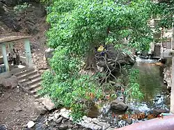 Gokund Ghaat or Paapa Nashini Ghat