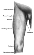 Front and medial aspect of right thigh.