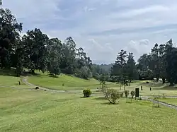 Green Area at Cibodas Botanical Garden