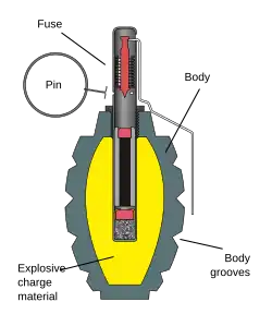 Cutaway view of a Russian F1 fragmentation grenade showing firing pin