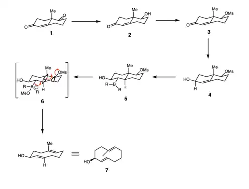 Scheme 2. Grob-like fragmentation