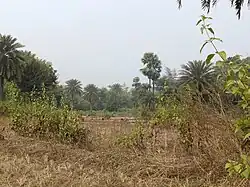 Gumla Village area