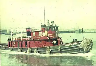 Gwendoline Steers ca 1955