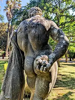 Farnese Hercules holding 3 'golden apples' or quinces.[8] Copy of 3rd century AD statue