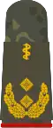 General­stabsarzt (human medicine)
