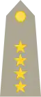 General de brigada (Honduran Army)[28]