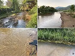 Habitats of Procerobaetis totuspinosus