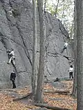 Rock climbing