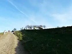 Towards the top of Hacking Knife