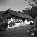 black and white photograph of a thatched roof house