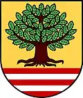 Coat of arms of Horní Bukovina