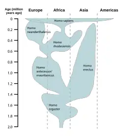 Image 78A reconstruction of human history based on fossil data. (from History of Earth)