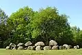 Dolmen D19 at Drouwen