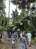 Touring a palm nursery, Hawaii. IPS Biennial 2022