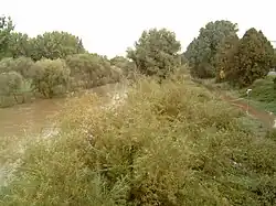 Ihme in a flood ditch to the left of a flooded bicycle path in Hanover, taking floodwater to the Leine.