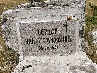 a grey plaque on a rock