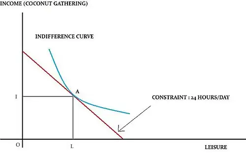 The Robinson Crusoe economy framework