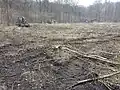 Deforestation with heavy machinery