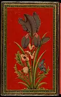 Iris, painted lacquer album cover. Delhi, c. 1850